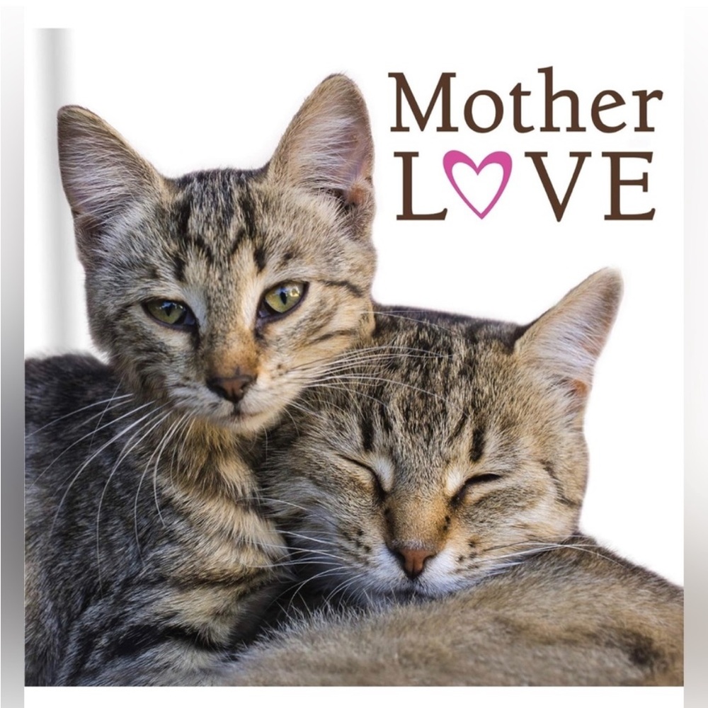 Mother Love Book - Cats Kittens